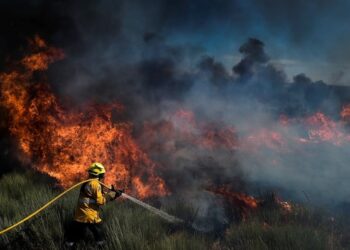 Verão 2024: Portugal tem 27 cidades com  risco de incêndio neste sábado