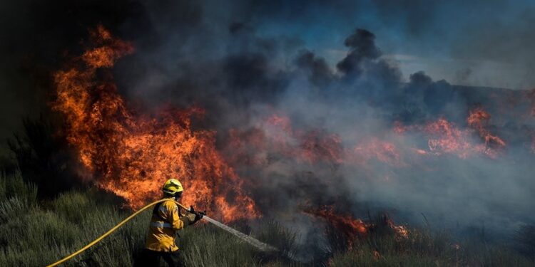 Verão 2024: Portugal tem 27 cidades com  risco de incêndio neste sábado