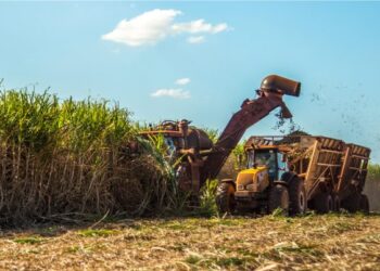 Produção de etanol cresce 18% em Minas; veja qual previsão para queda do preço