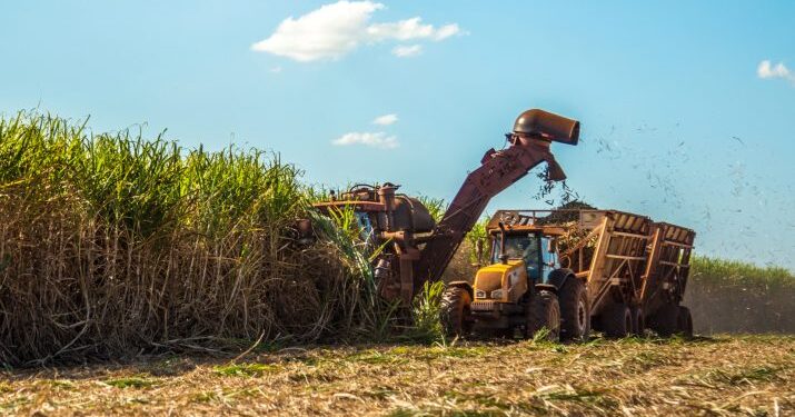 Produção de etanol cresce 18% em Minas; veja qual previsão para queda do preço