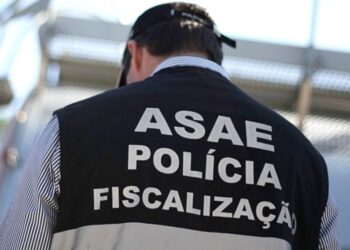 ASAE fecha depuradora nas Caldas da Rainha e apreende mais de 16 mil euros em bivalves