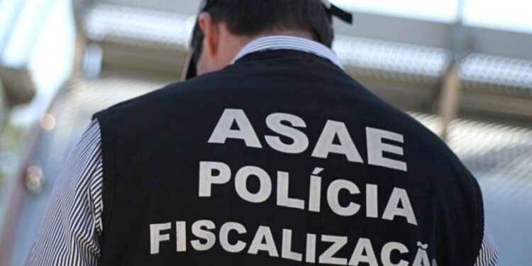 ASAE fecha depuradora nas Caldas da Rainha e apreende mais de 16 mil euros em bivalves