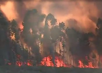 Mais de 300 homens do Corpo de Bombeiros mobilizados para apagar fogo de grandes proporções que atinge floresta em Pombal