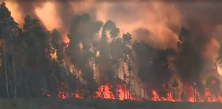 Mais de 300 homens do Corpo de Bombeiros mobilizados para apagar fogo de grandes proporções que atinge floresta em Pombal