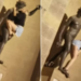 Na Itália turista causa indignação após subir em estátua de deus do vinho e simular sexo