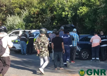 Depois do fim das manifestações de interesse polícia faz operação para fiscalizar imigração