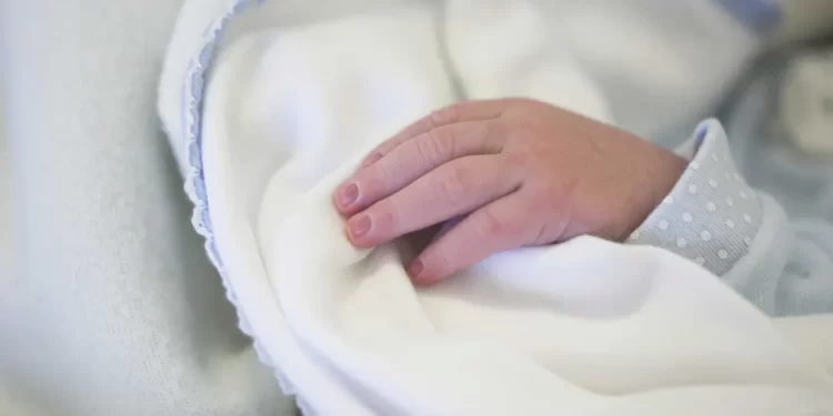 Hospital procura mãe de feto morto abandonado na Póvoa de Varzim/Vila do Conde