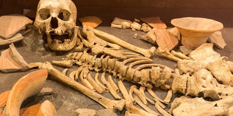 Brasileira encontra ossos humanos atrás de máquina de lavar roupas dez dias depois de ter arrendado casa no Estoril, em Cascais