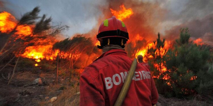 Idoso de 89 acaba de ser detido pela GNR  por crime de incêndio florestal em Portalegre