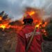 Idoso de 89 acaba de ser detido pela GNR  por crime de incêndio florestal em Portalegre