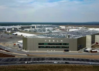 Para construir mega fábrica da Tesla na Alemanha, meio milhão de árvores tiveram que morrer