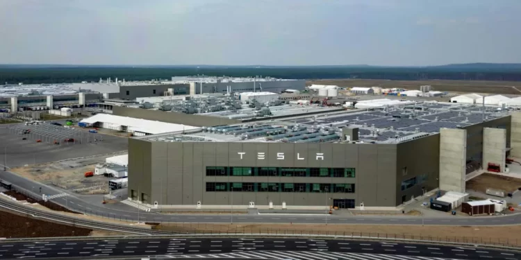 Para construir mega fábrica da Tesla na Alemanha, meio milhão de árvores tiveram que morrer