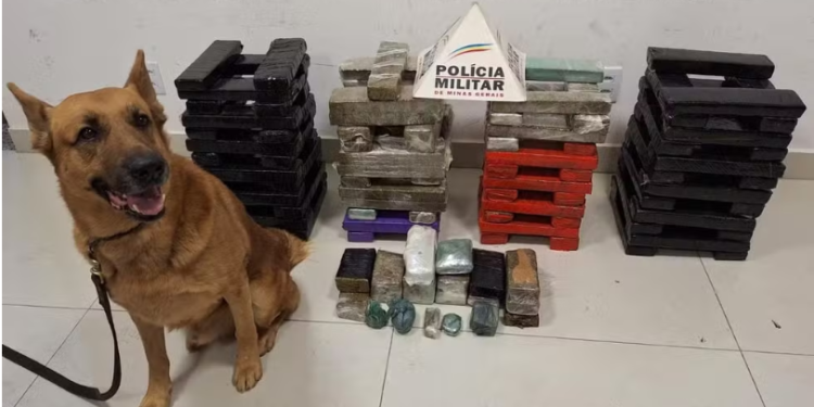 Polícia apreende 114 barras de maconha em Ipatinga; dois foram presos