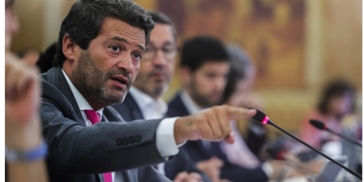 André Ventura acusa Miguel Albuquerque de negligência no incêndio da Ilha da  Madeira