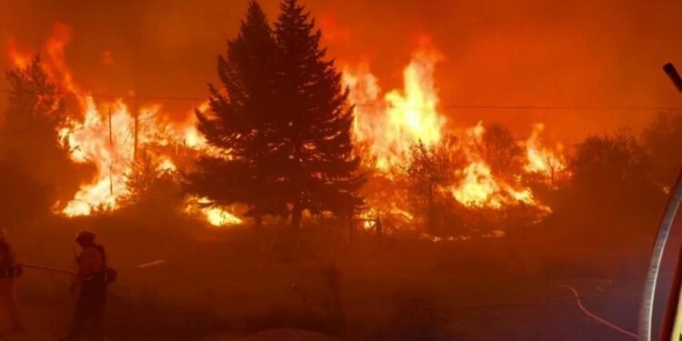 Detida mulher de 68 anos suspeita de incendiar mata nas Caldas da Rainha