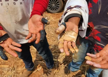 Trabalho escravo. 59 colhedores de alho em MG sem acesso a banheiro e água potável