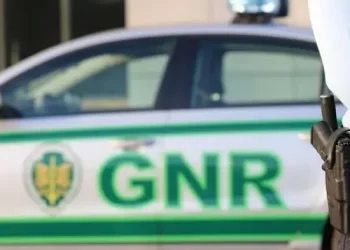 GNR apreende cinco armas e mais de duas centenas de munições na Trofa