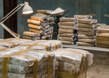 Operação “Tártaro” Polícia Judiciária apreende mais de 6,5 toneladas de cocaína que entrou em Portugal por via marítima