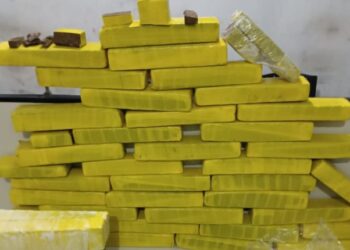 Policia Federal apreende cocaína avaliada em quase R$ 8 milhões em Minas Gerais