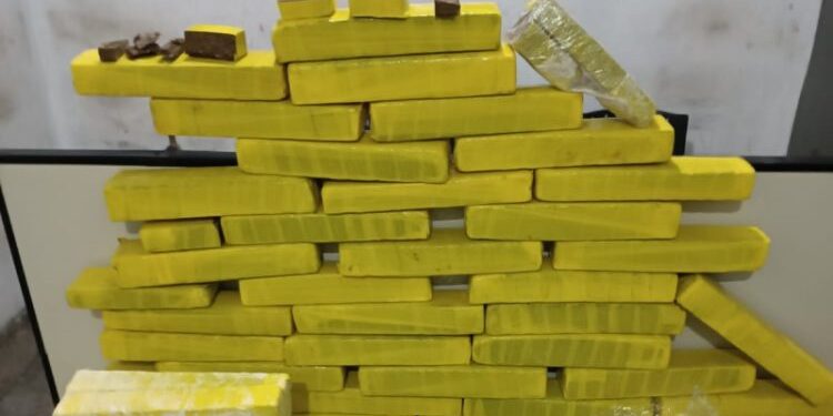 Policia Federal apreende cocaína avaliada em quase R$ 8 milhões em Minas Gerais