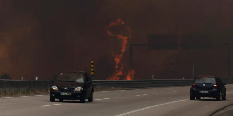 Estradas fechadas devido a incêndios no Porto, Aveiro e Viseu