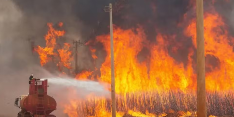 Brasil já registrou mais de 154 mil focos de calor este ano