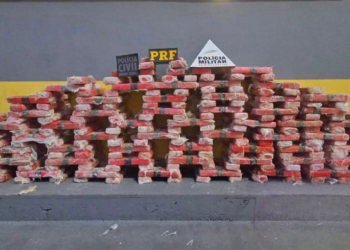 Polícia apreende 500 kg de maconha na BR-381, em Minas Gerais