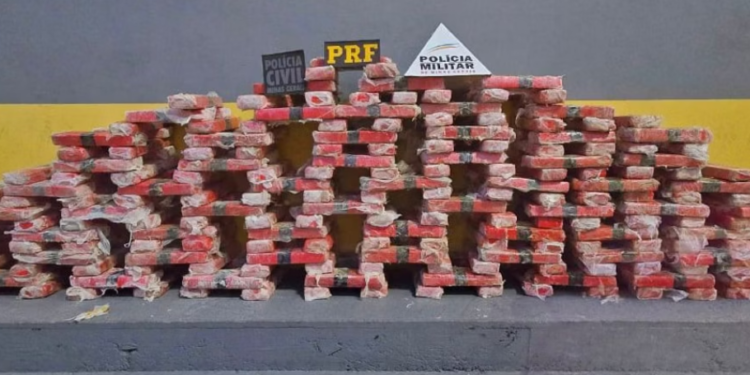Polícia apreende 500 kg de maconha na BR-381, em Minas Gerais