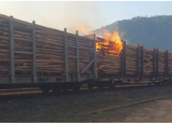 Incêndio atinge trem da Vale carregado de madeira. 8 vagões ficaram totalmente destruídos