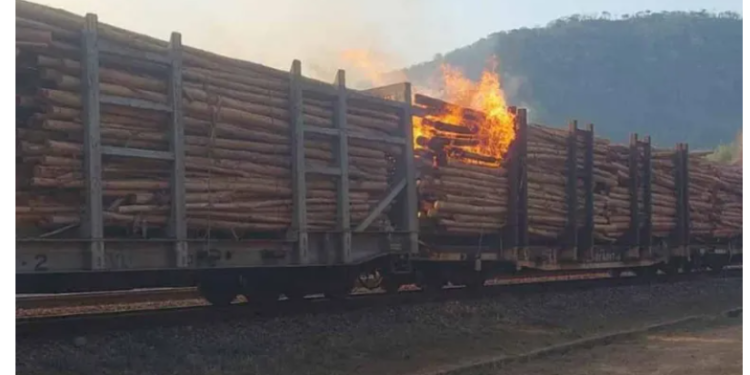 Incêndio atinge trem da Vale carregado de madeira. 8 vagões ficaram totalmente destruídos