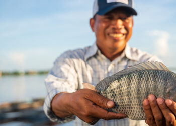 Empresa de Pesquisa Agropecuária de Minas Gerais promove feira de piscicultura