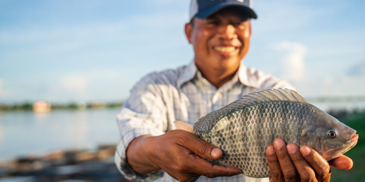 Empresa de Pesquisa Agropecuária de Minas Gerais promove feira de piscicultura
