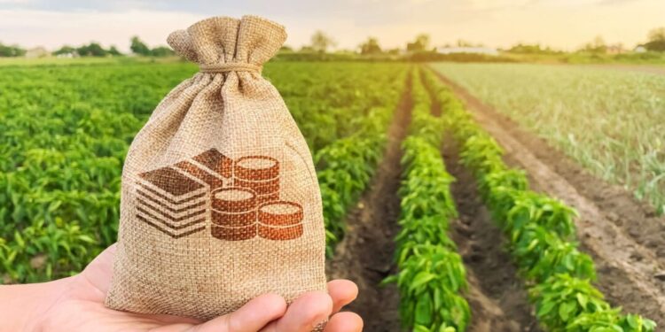 Exportações do agro mineiro registram US$ 9,7 bilhões de janeiro a julho