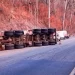 Carreta com destino ao Vale do Aço tomba na BR-381 próximo a Bela Vista de Minas
