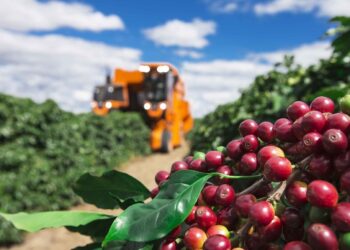Exportações do agro de Minas Gerais atingem melhor resultado da série histórica