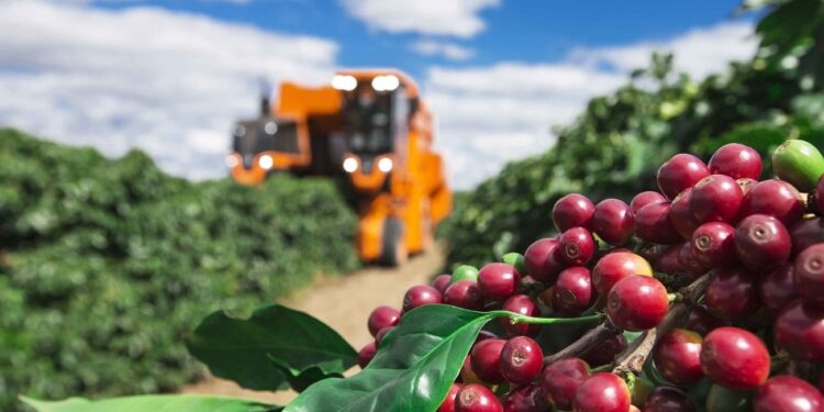 Exportações do agro de Minas Gerais atingem melhor resultado da série histórica