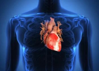 Dia Mundial do Coração: boa saúde bucal ajuda a prevenir infarto e outros problemas cardíacos