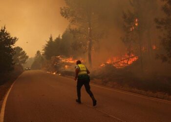Idosa de 71 anos é detida  suspeita de atear fogo em  floresta no Sabugal, Guarda