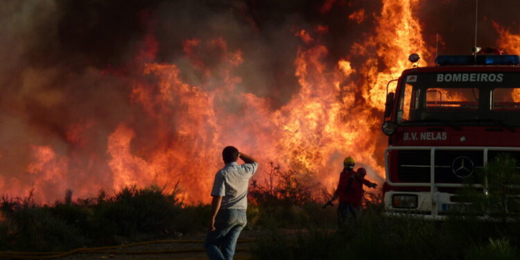 Brasileiro de 28 anos morre carbonizado em incêndio florestal de grandes proporções em Portugal
