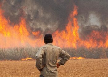Fumaças das queimadas no Brasil  pode trazer sérios  danos à saúde, entenda como se prevenir