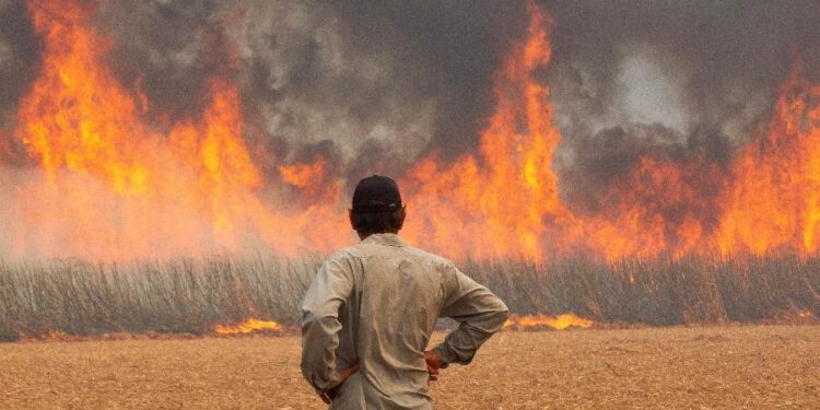 Fumaças das queimadas no Brasil  pode trazer sérios  danos à saúde, entenda como se prevenir