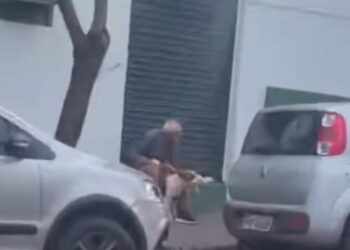 Idoso de 80 anos é filmado estuprando cadela e é preso no Triângulo Mineiro