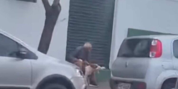 Idoso de 80 anos é filmado estuprando cadela e é preso no Triângulo Mineiro