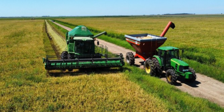 Primeira estimativa da safra de grãos aponta recorde e crescimento de 8,3%