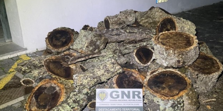 Frio chegando: Homem de 31 anos é detido pela GNR por furto de lenha