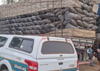 Meio Ambiente apreende 420 metros cúbicos de carvão em operação na Região Metropolitana de BH