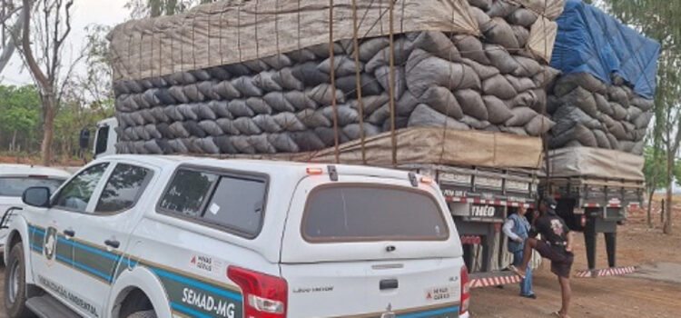 Meio Ambiente apreende 420 metros cúbicos de carvão em operação na Região Metropolitana de BH