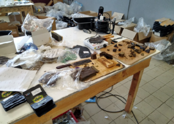 Portugal: Polícia Judiciária desmantela empresa que distribuía canábis e LSD