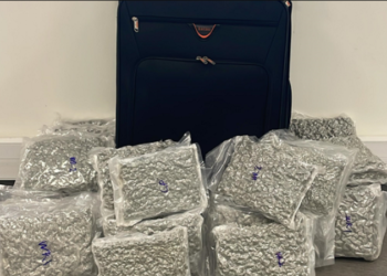 Polícia Judiciária detém dois cidadãos asiáticos com bagagem recheada de drogas