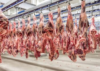 Brasil monta força-tarefa e prepara manifestação à China sobre investigação de carne do Brasil